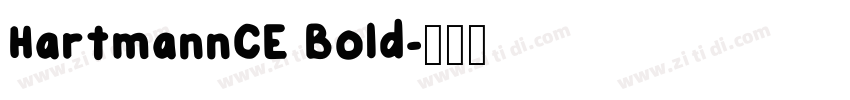HartmannCE Bold字体转换